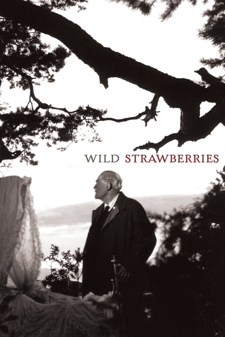 Poster for the movie "Wild Strawberries"