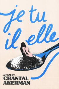 Poster for the movie "Je Tu Il Elle"